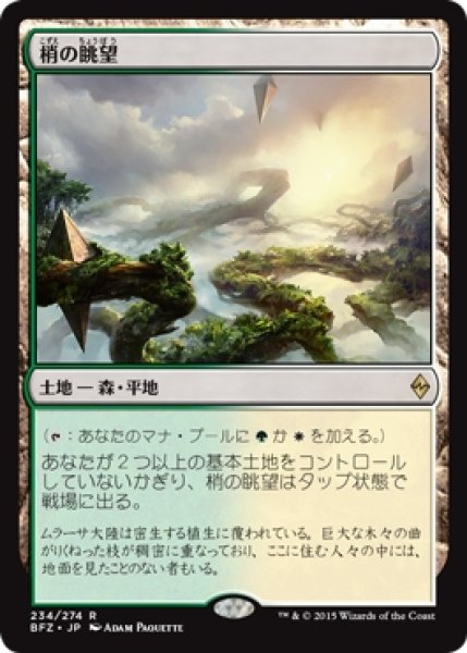 画像1: 【BFZ】《梢の眺望/Canopy Vista》【R】 (1)