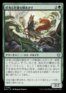 mtg 高騰中 グルール 赤単パーツ 22枚セット 熾火心 雇われ爪 blb ミントモール / MINT GAMES MTG(東日本橋) / 【BLB】【JPN】《雇