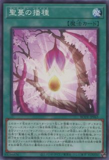 BLVO】《アームド・ドラゴン・サンダー LV10》【シークレット