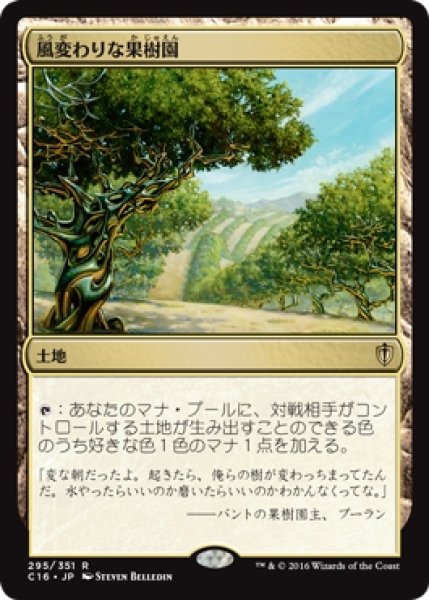 画像1: 【C16】《風変わりな果樹園/Exotic Orchard》【R】 (1)