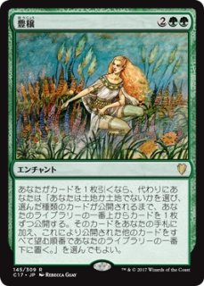 MTG 多人数戦セット 【C16】《財宝発掘/Trash for Treasure》【R】