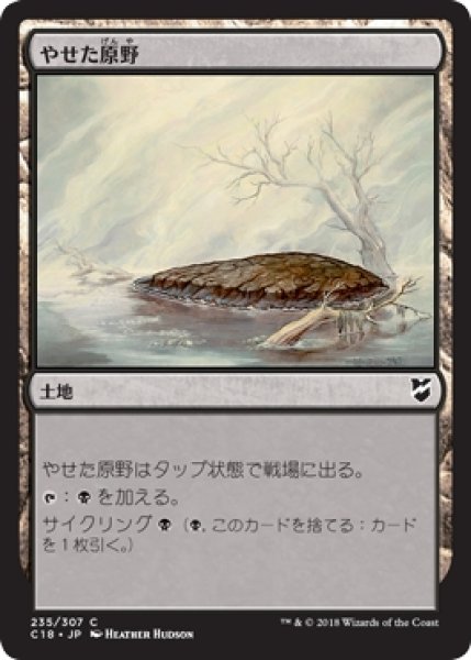 画像1: 【C18】《やせた原野/Barren Moor》【C】 (1)