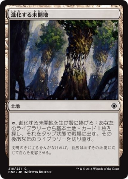 画像1: 【CN2】《進化する未開地/Evolving Wilds》【C】 (1)