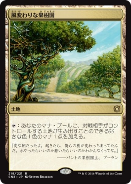 画像1: 【CN2】《風変わりな果樹園/Exotic Orchard》【R】 (1)