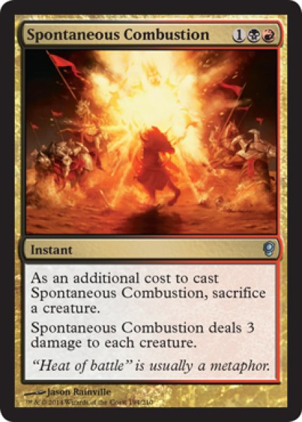画像2: 【CNS】《自然発火/Spontaneous Combustion》【U】 (2)