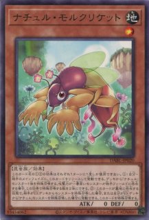 DABL】《ナチュルの春風》【ノーマル】 - PROJECT CORE 1号店