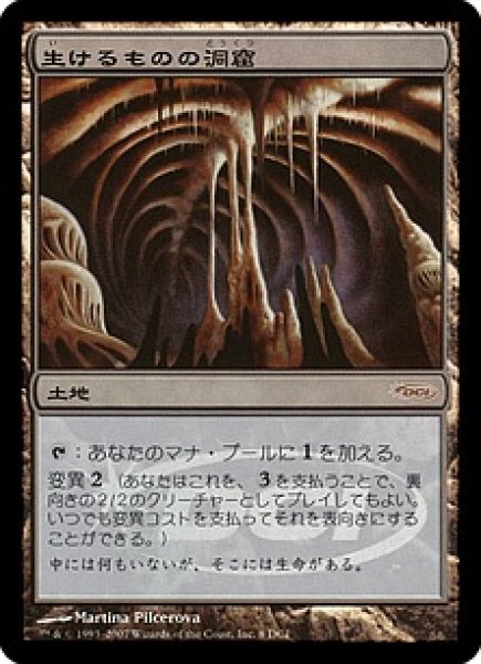 画像1: 【MTG/PR】※Foil※《生けるものの洞窟/Zoetic Cavern》(ゲートウェイ)[DCIマーク] (1)