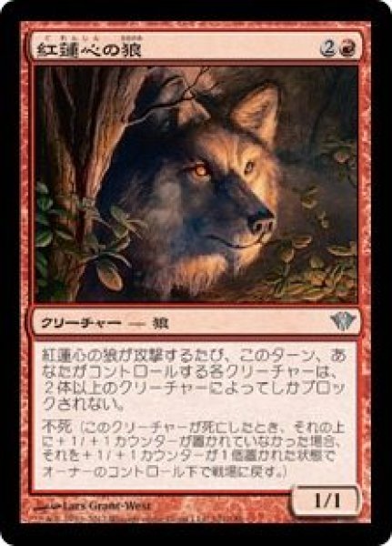 画像1: 【DKA】《紅蓮心の狼/Pyreheart Wolf》【U】 (1)
