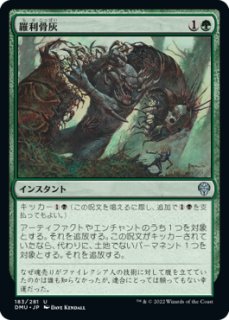 MTG/SS】※Foil※《島/Island》 Illus.Alayna Danner - PROJECT CORE 1号店