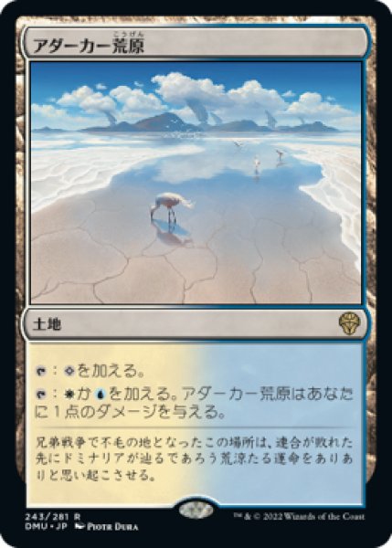 画像1: 【DMU/PrePR】※Foil※《アダーカー荒原/Adarkar Wastes》【R】 (1)