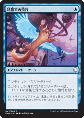 MTG プロモーションカード 【MTG/PR】《フェイタリズム》/《秘儀