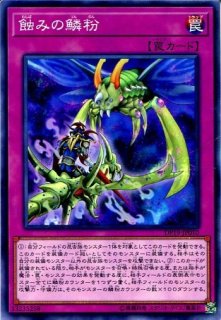 MTG デュエルデッキ 【AVN】《蝕み/Undermine》【R】