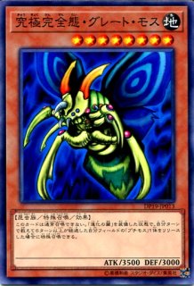 遊戯王 デュエリストパック 【DP18】《アマゾネスの剣士》【ノーマル】