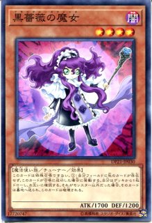 DP21】《ハーピィ・レディ三姉妹》【ノーマル】 - PROJECT CORE 1号店