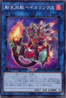 PGB1】遊戯王 特製デュエリストカードプロテクター ラージクリア