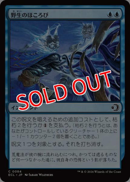 画像1: 【ECL】《野生のほころび/Wild Unraveling》【C】 (1)