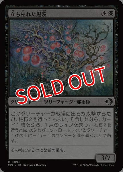 画像1: 【ECL】《立ち枯れた黒茨/Blighted Blackthorn》【C】 (1)