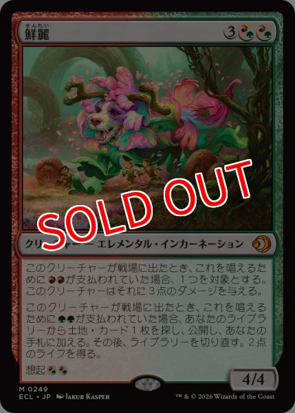 画像1: 【ECL】《鮮麗/Vibrance》【M】 (1)