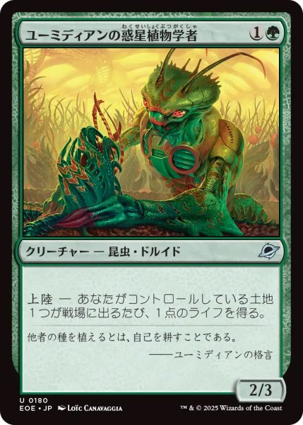 画像1: 【EOE】《ユーミディアンの惑星植物学者/Eumidian Terrabotanist》【U】 (1)