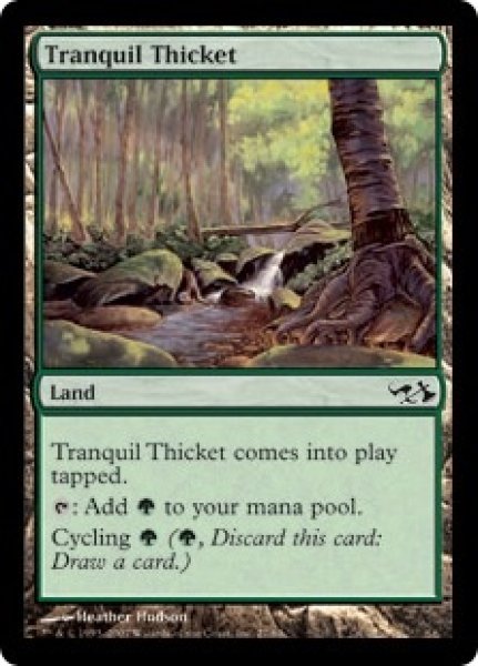 画像1: 【EvG】《平穏な茂み/Tranquil Thicket》【C】 (1)