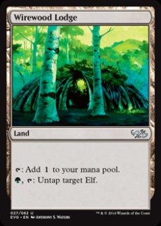 MTG エターナル 【EMA】《ワイアウッドの共生虫/Wirewood Symbiote》【U】