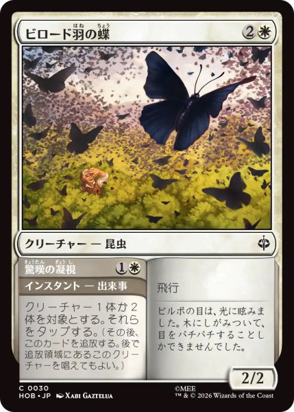 画像1: 【HOB】《ビロード羽の蝶/Velvetwing Butterflies》-《驚嘆の凝視/Gaze in Wonder》【C】 (1)
