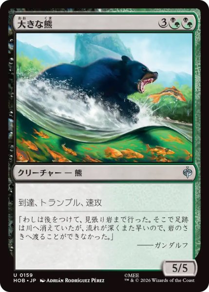 画像1: 【HOB】《大きな熊/Large Bear》【U】 (1)