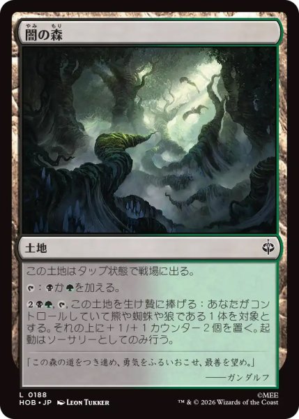 画像1: 【HOB】《闇の森/Mirkwood》【C】 (1)