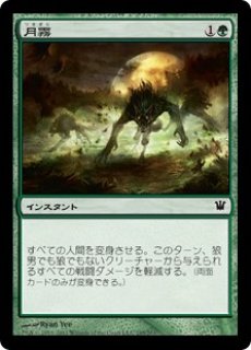 MTG 月霧/ Moonmist 日　31枚まとめ売り　海外向け出品 70726f647563742f6973643139356a