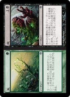 アナボルバー [APC] 【BIGWEB | MTG】日本最大級の激安カードゲーム通販専門店