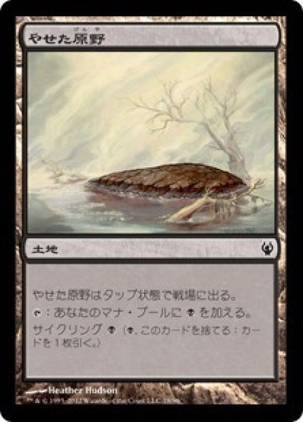 画像1: 【IVG】《やせた原野/Barren Moor》【C】 (1)