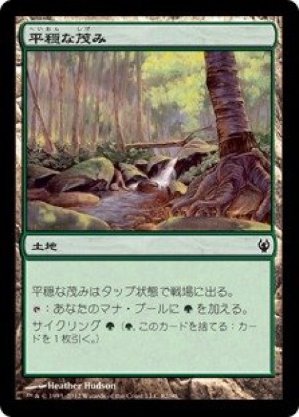 画像1: 【IVG】《平穏な茂み/Tranquil Thicket》【C】 (1)