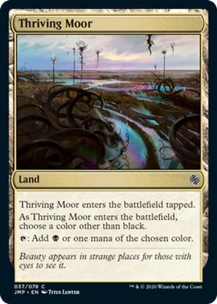 画像1: 【JMP】《興隆する湿地帯/Thriving Moor》【C】 (1)