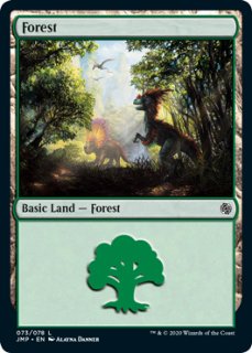 LCI/REX】《森/Forest》【L】 - PROJECT CORE 1号店