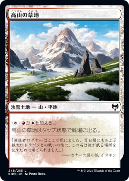 画像1: 【KHM】※FOIL※《高山の草地/Alpine Meadow》【C】 (1)