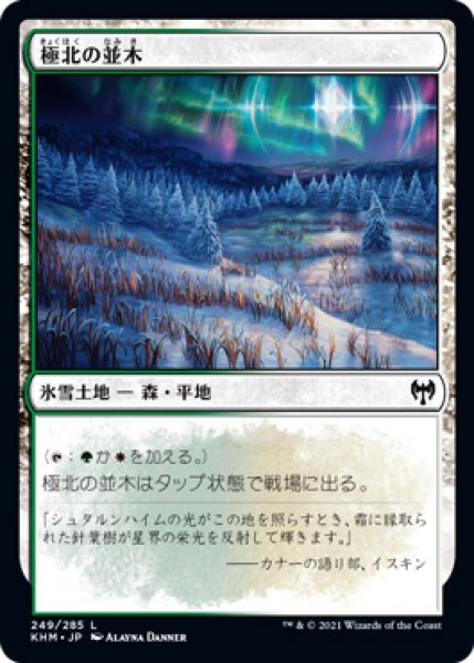 画像1: 【KHM】《極北の並木/Arctic Treeline》【C】 (1)