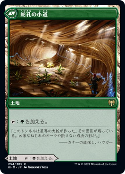 画像2: 【KHM】※FOIL※《闇孔の小道/Darkbore Pathway》《蛇孔の小道/Slitherbore pathway》【R】 (2)