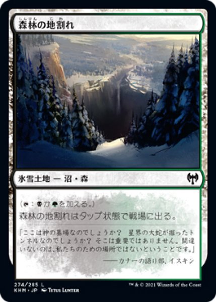 画像1: 【KHM】《森林の地割れ/Woodland Chasm》【C】 (1)