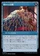 画像2: 【LCI】※Foil※《編まれた網/Braided Net》《編まれた結縄/Braided Quipu》【R】 (2)