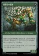 画像2: 【LCI】《翡翠の種石/Jade Seedstones》《翡翠心の従者/Jadeheart Attendant》【U】 (2)