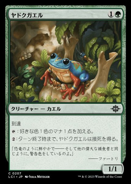 画像1: 【LCI】《ヤドクガエル/Poison Dart Frog》【C】 (1)