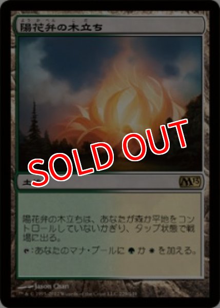 画像1: 【M13】《陽花弁の木立ち/Sunpetal Grove》【R】 (1)