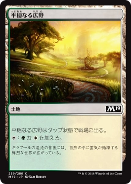 画像1: 【M19】※Foil※《平穏なる広野/Tranquil Expanse》【C】 (1)