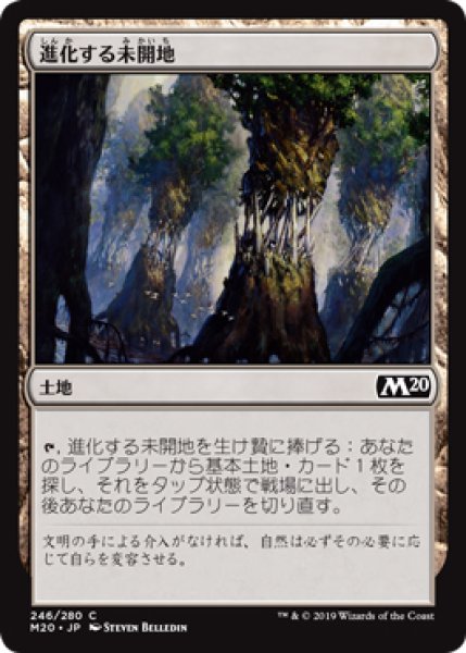 画像1: 【M20】※FOIL※《進化する未開地/Evolving Wilds》【C】 (1)