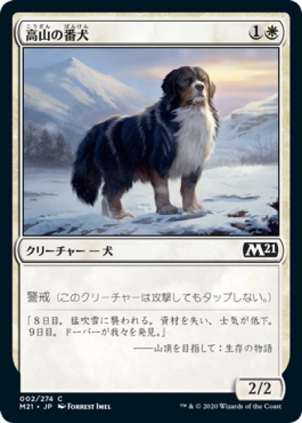 画像1: 【M21】《高山の番犬/Alpine Watchdog》【C】 (1)