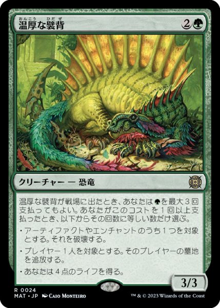 画像1: 【MAT】《温厚な襞背/Tranquil Frillback》【R】 (1)