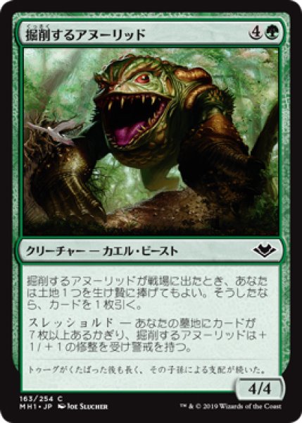 画像1: 【MH1】※FOIL※《掘削するアヌーリッド/Excavating Anurid》【C】 (1)