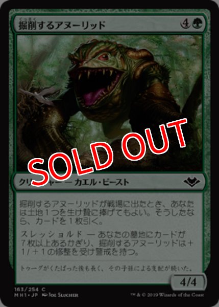 画像1: 【MH1】※FOIL※《掘削するアヌーリッド/Excavating Anurid》【C】 (1)