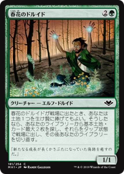 画像1: 【MH1】《春花のドルイド/Springbloom Druid》【C】 (1)