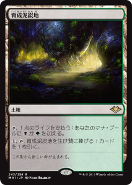 画像1: 【MH1】※FOIL※《育成泥炭地/Nurturing Peatland》【R】 (1)